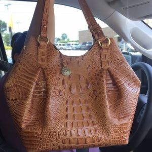 Brahmin Purse